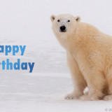 polarbear_birthday_donationecard