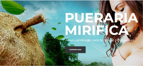 The belief in the rejuvenating properties of Pueraria Mirifica has been passing down from one generation to another. A Magical plant from northern Thailand
Visit us:-https://www.puerariathai.com/pueraria-mirifica/