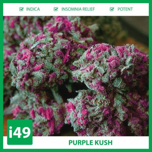 purple-kush.jpg