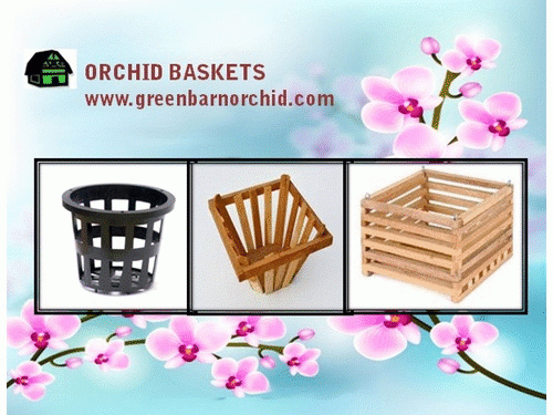 Whether it is a kitchen window or a full-size greenhouse, it is easy to find your choice of Orchid Pot at our store if you are thinking to re-pot your orchid plants. Feel free to contact us anytime.
