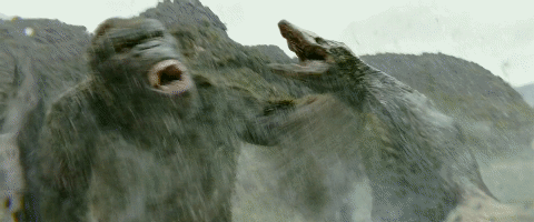 Chopper Edmw Animated Gif