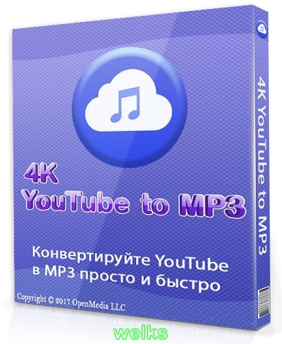 4K YouTube to MP3 3.7.1.2862 + x64 + patch