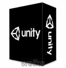 Unity Professional 2019.1.10f1