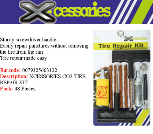 tire-repair-kit-co2.jpg