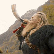 wiking viking