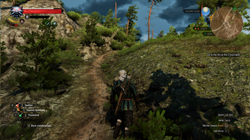 witcher3-2019-06-18-21-05-00-10.png