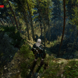 witcher3-2019-06-18-21-05-24-76