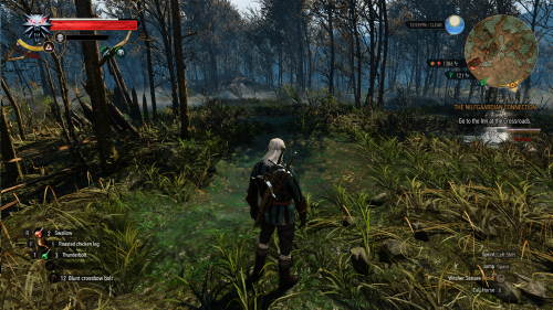 witcher3-2019-06-18-21-05-38-93.png