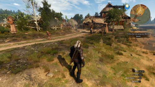 witcher3_2019_06_14_22_10_15_337.png