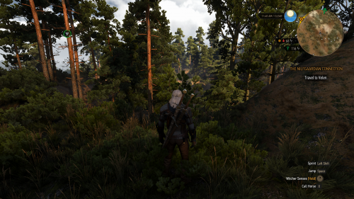 witcher3_2019_06_18_05_45_53_806.png