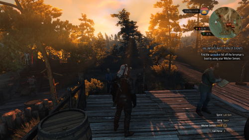 witcher3_2019_06_18_15_58_11_008.png