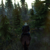 witcher3_2019_06_27_02_48_17_272