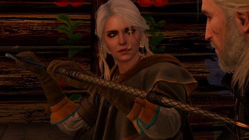 witcher3_2019_07_05_01_39_16_368.png