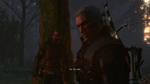 witcher3_2019_07_05_23_53_44_284.png