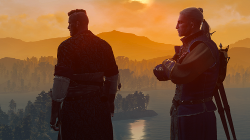 witcher3_2019_07_06_23_11_30_946.png