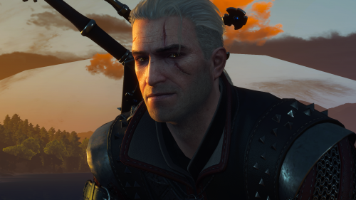 witcher3_2019_07_12_06_04_53_251.png