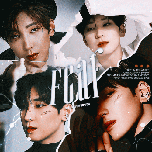wonwoo.gif