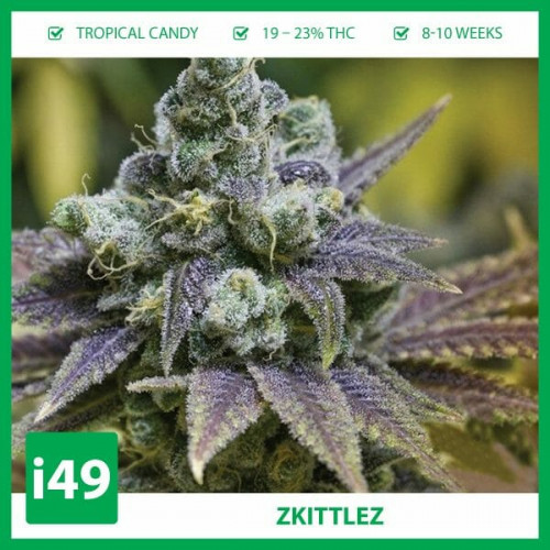 https://weed-seeds.ca/product/auto-zkittlez-fem/	

Weed Seeds Canada is a marijuana seeds store that provides cannabis seeds to hobby growers. We ship to your mailbox with an 80% germination guarantee. Call 1-888-544-4949 for the best automatic pot seeds for sale online.